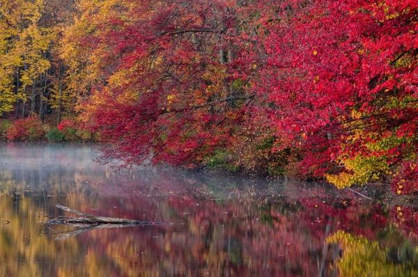 PA, Hidden Lake Trees in autumn reflect in lake